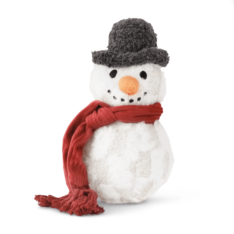Snowman Enrichment Toy - Modern Companion