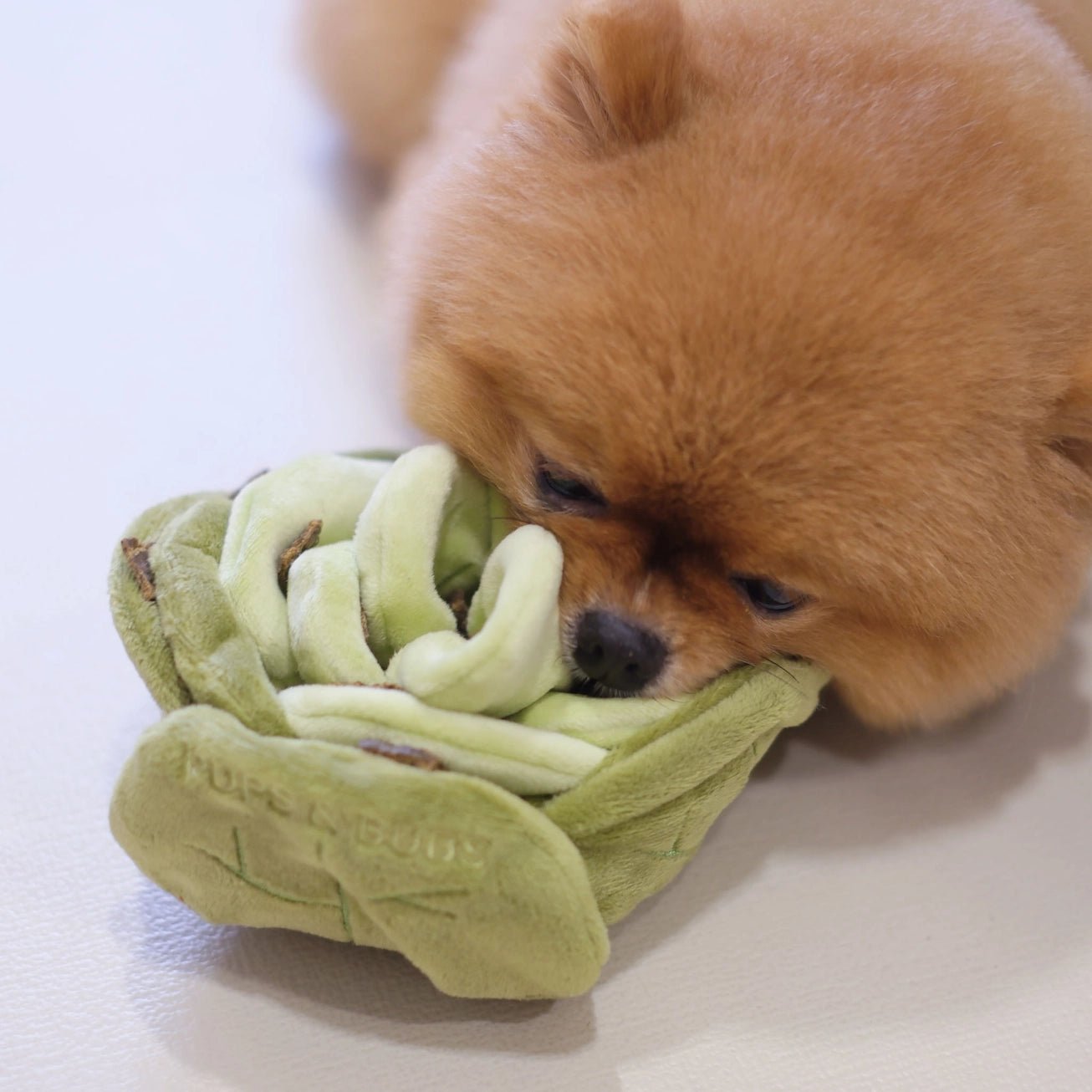 Snuffle Cabbage Nosework Toy - Modern Companion