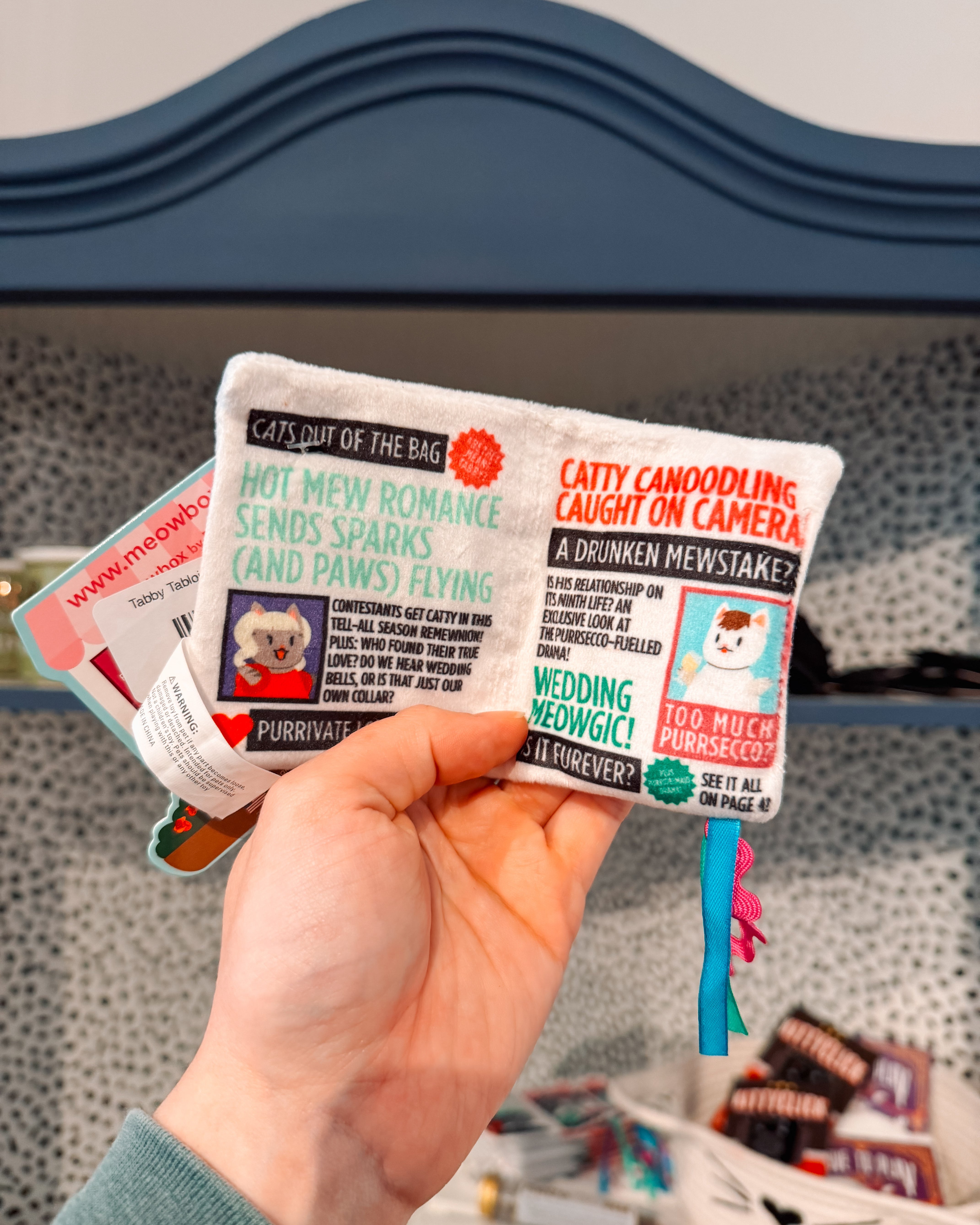 Tabby Tabloid Crunchy Cat Toy - Modern Companion