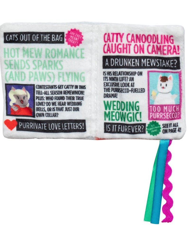 Tabby Tabloid Crunchy Cat Toy - Modern Companion
