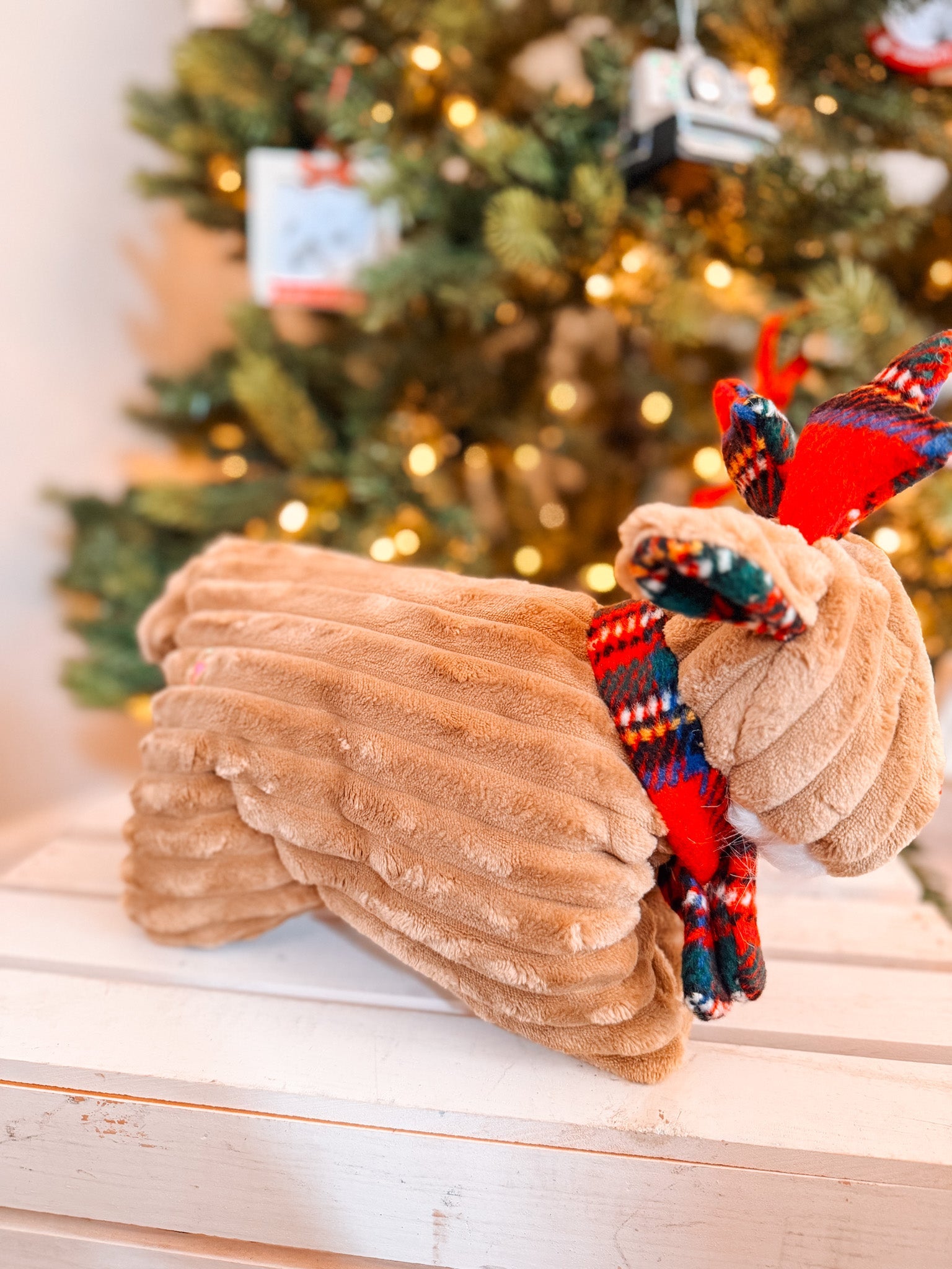 Tartan Tidings Collection Reindeer Squooshie - Modern Companion