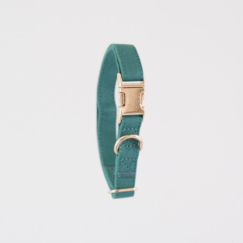Teal Collar - Modern Companion