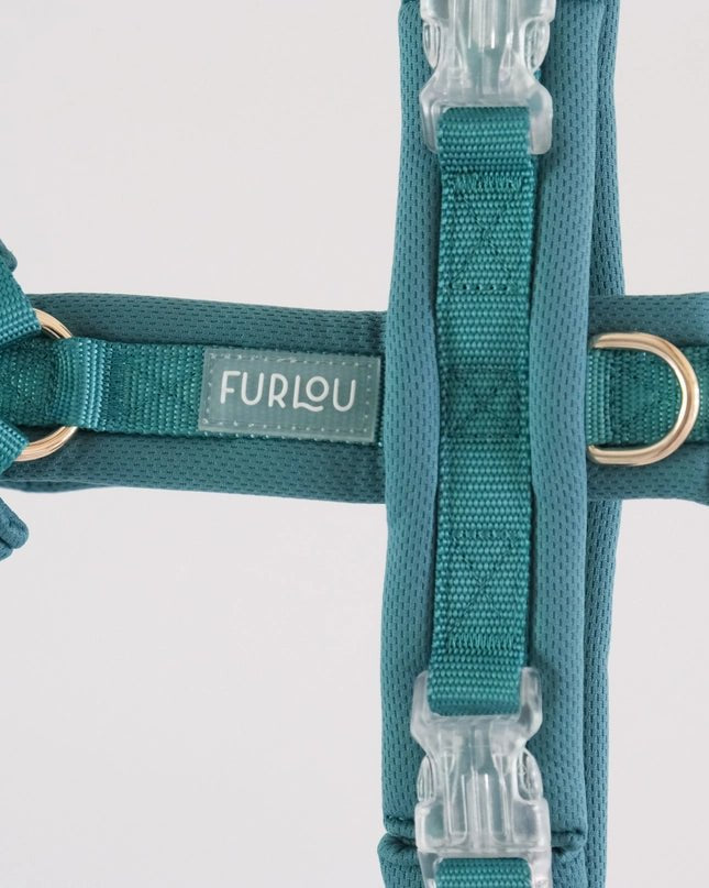 Teal Comfort Dog Harness - Modern Companion