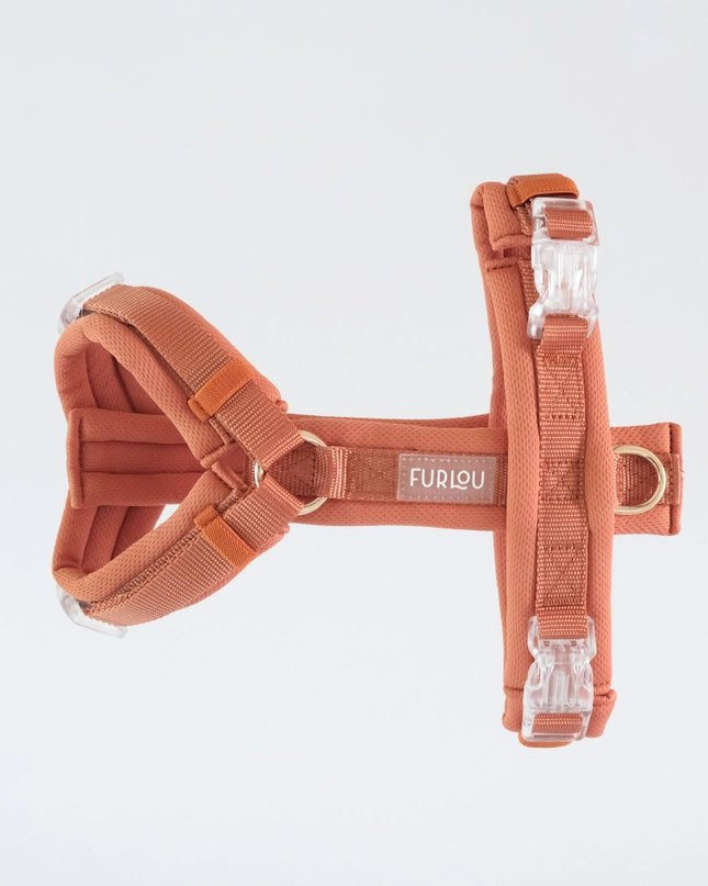 Terracotta Comfort Dog Harness - Modern Companion