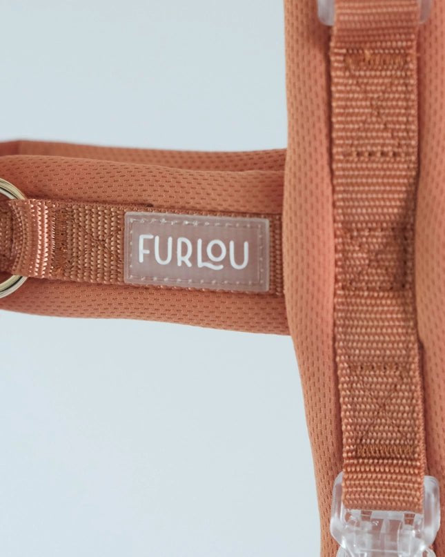 Terracotta Comfort Dog Harness - Modern Companion