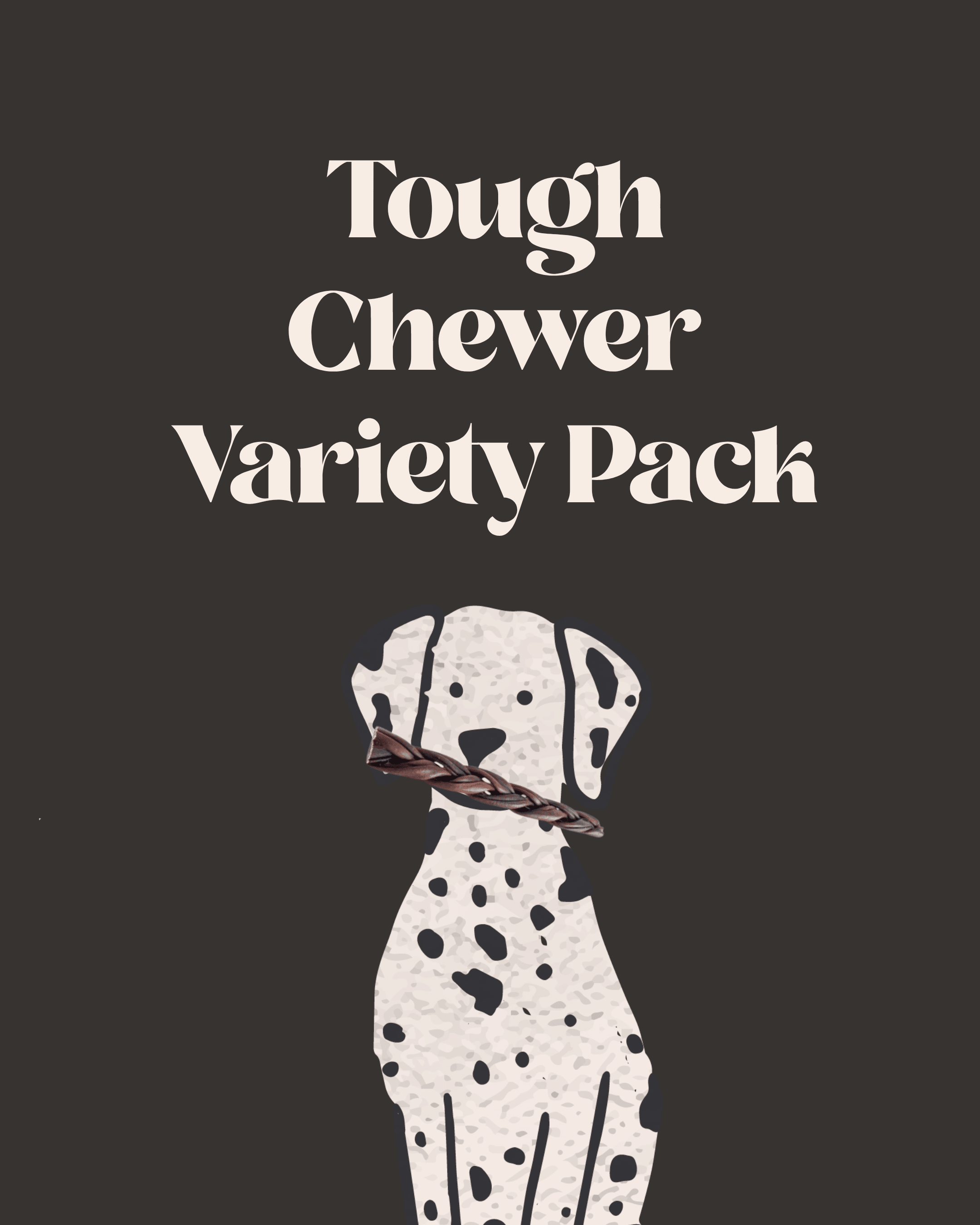 Tough Chewer Variety Pack - Modern Companion