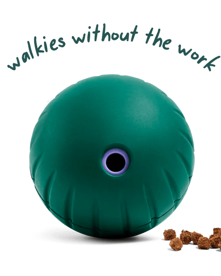 Walkabout Toy - Modern Companion