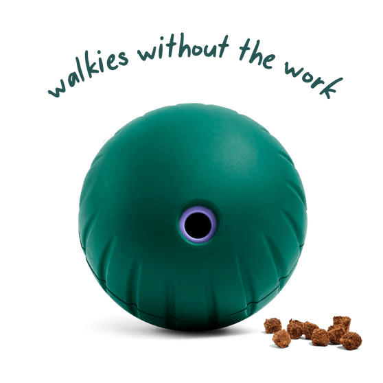 Walkabout Toy - Modern Companion