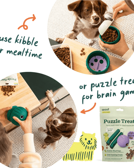 Walkabout Toy - Modern Companion