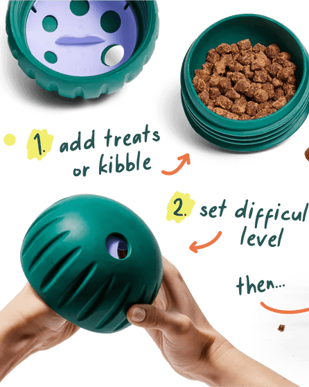 Walkabout Toy - Modern Companion