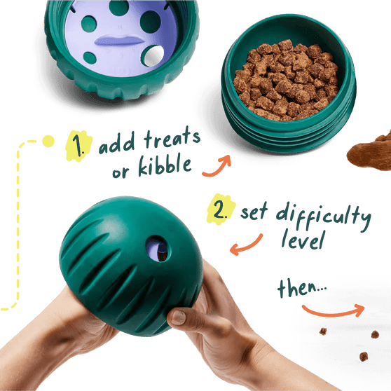 Walkabout Toy - Modern Companion