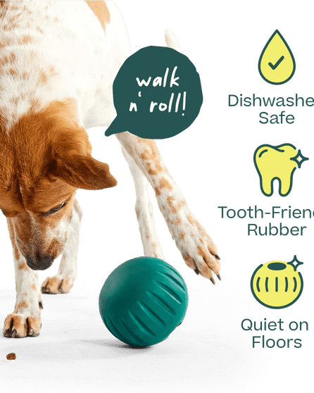 Walkabout Toy - Modern Companion