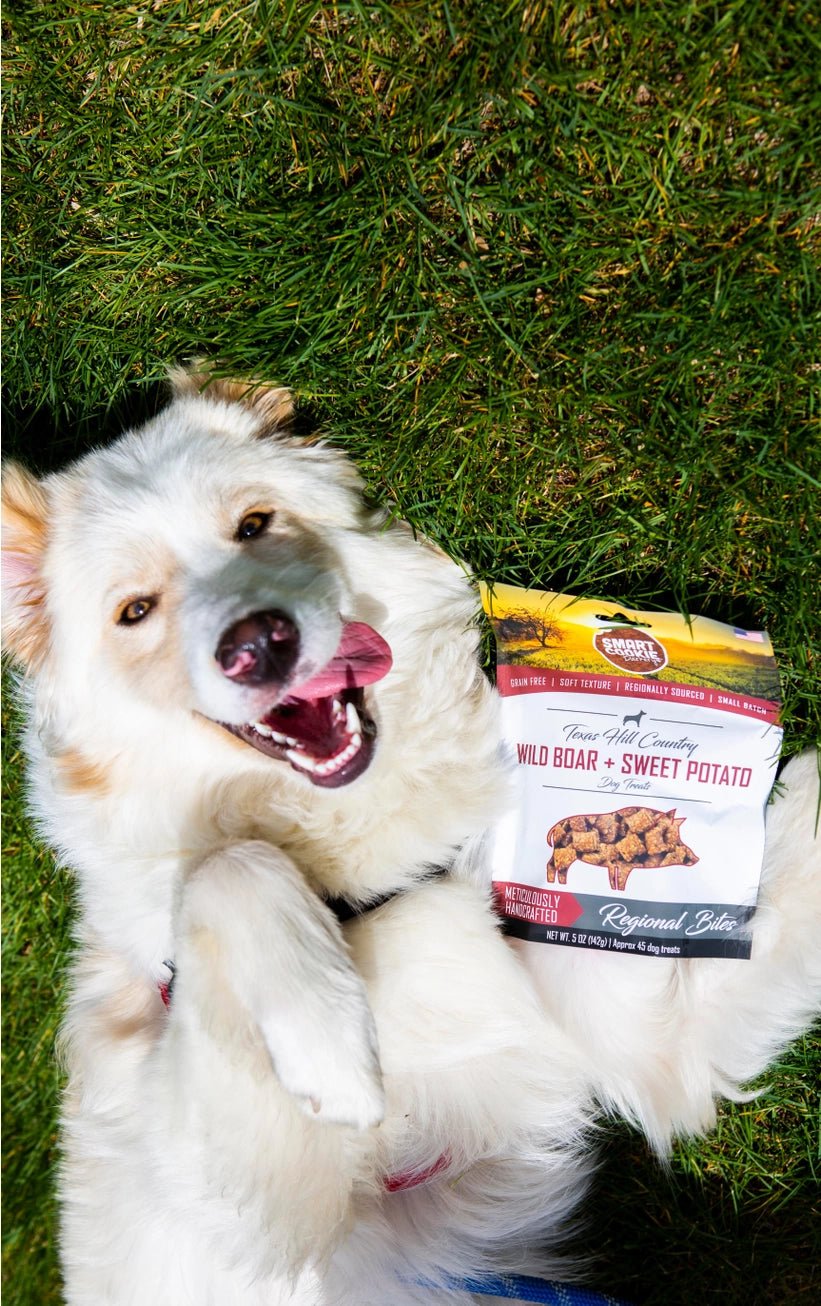 Wild Boar + Sweet Potato Soft & Chewy Dog Treat - Modern Companion