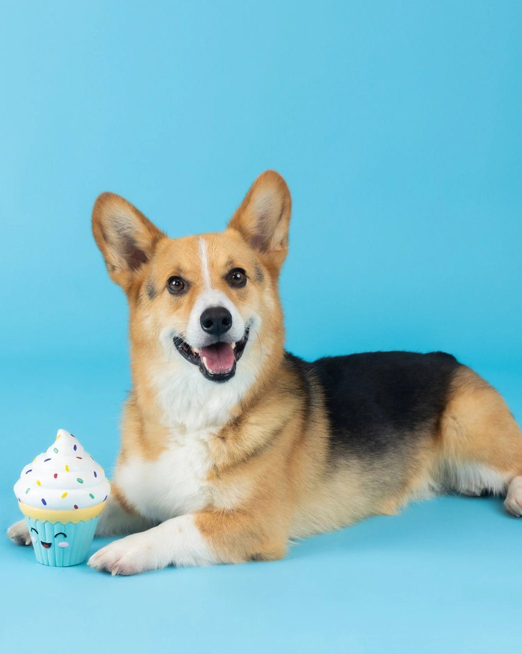 You Bake Me Crazy Toy - Modern Companion