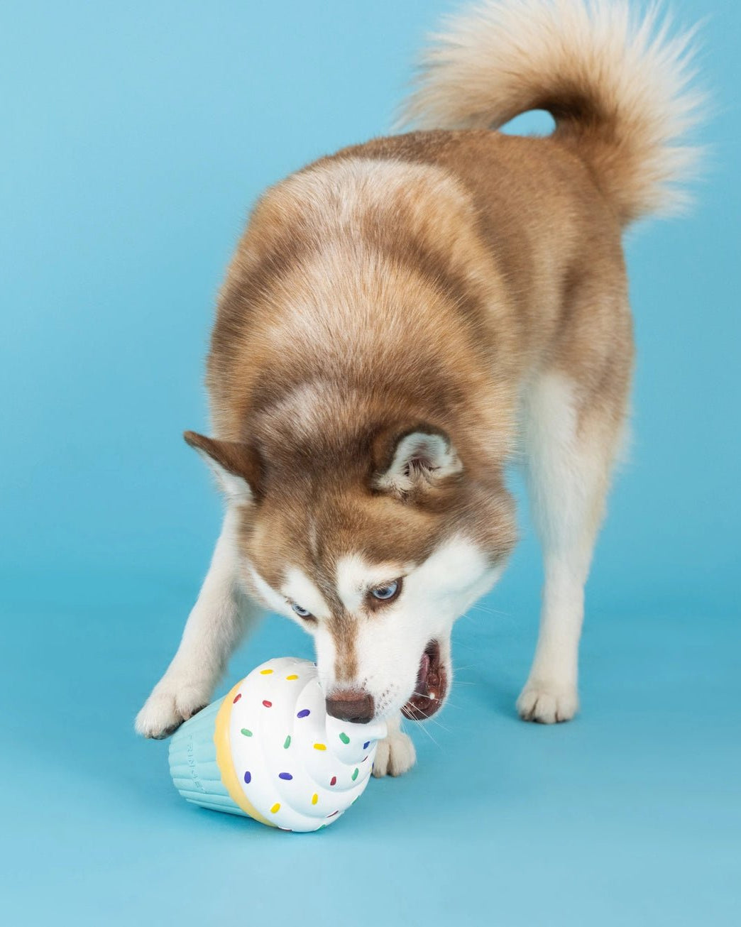 You Bake Me Crazy Toy - Modern Companion