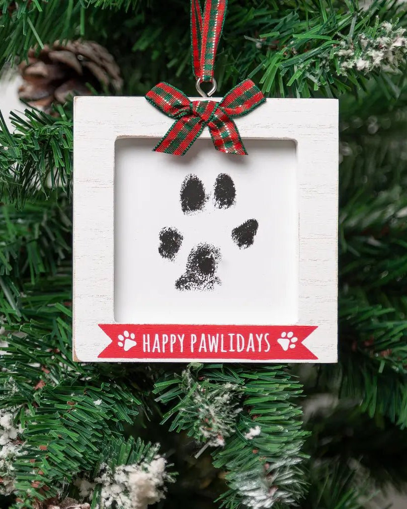 $10 DIY Paw Print Ornaments Kit - Modern Companion