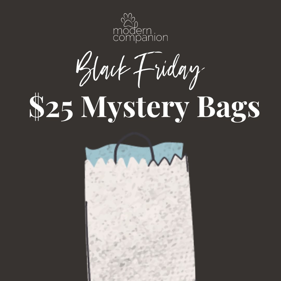 $25 Black Friday Mystery Bags - Modern Companion