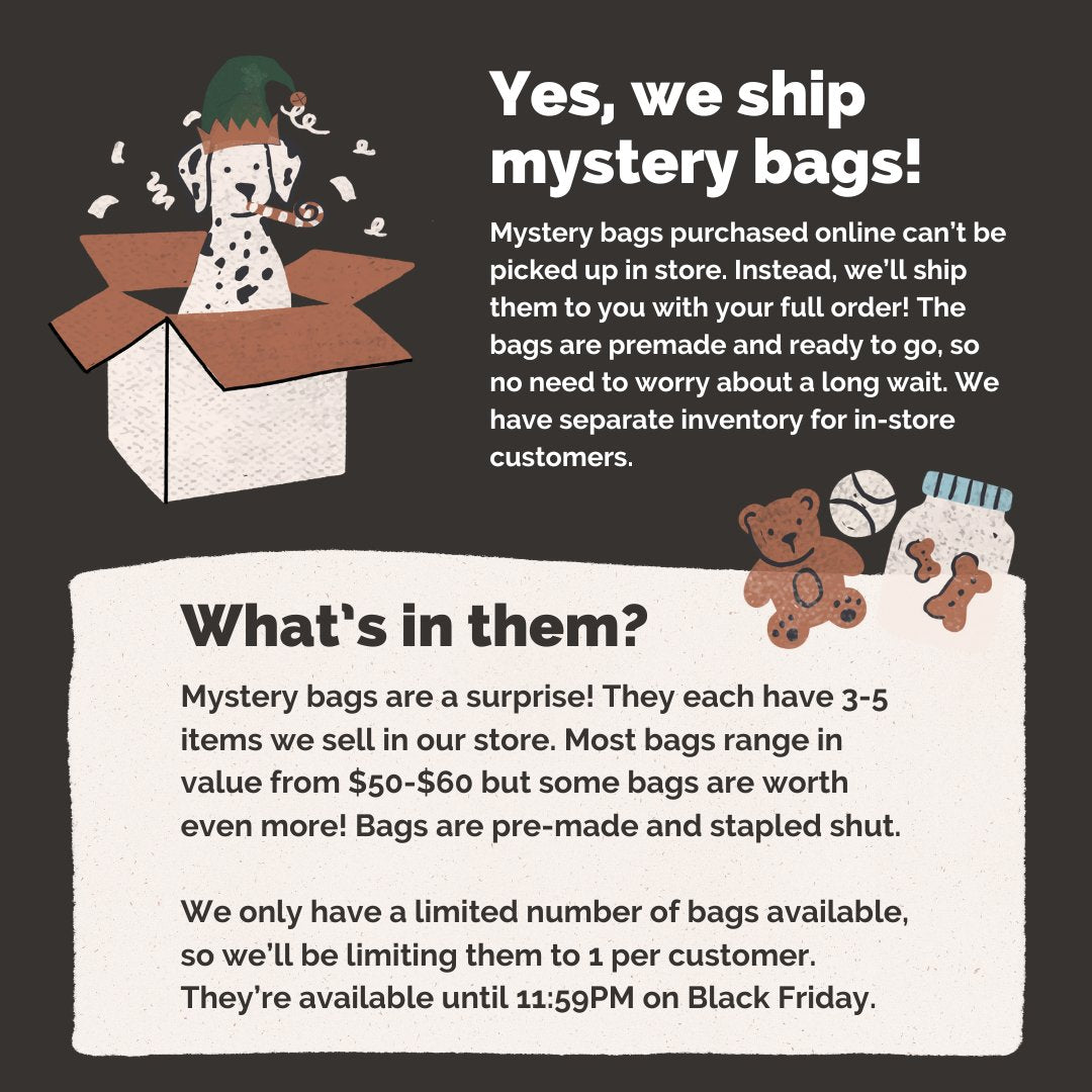 $25 Black Friday Mystery Bags - Modern Companion