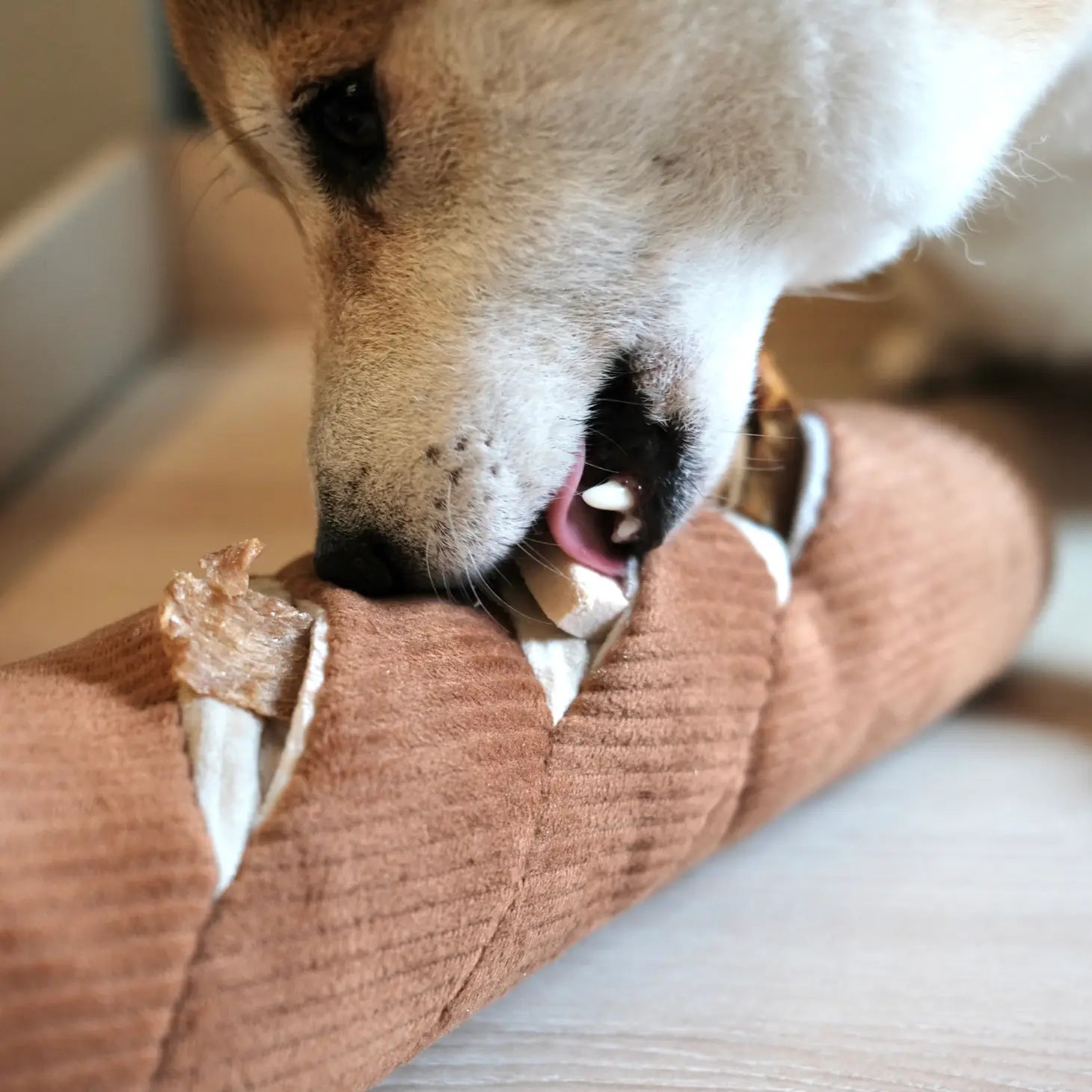 Baguette Dog Toy - Modern Companion