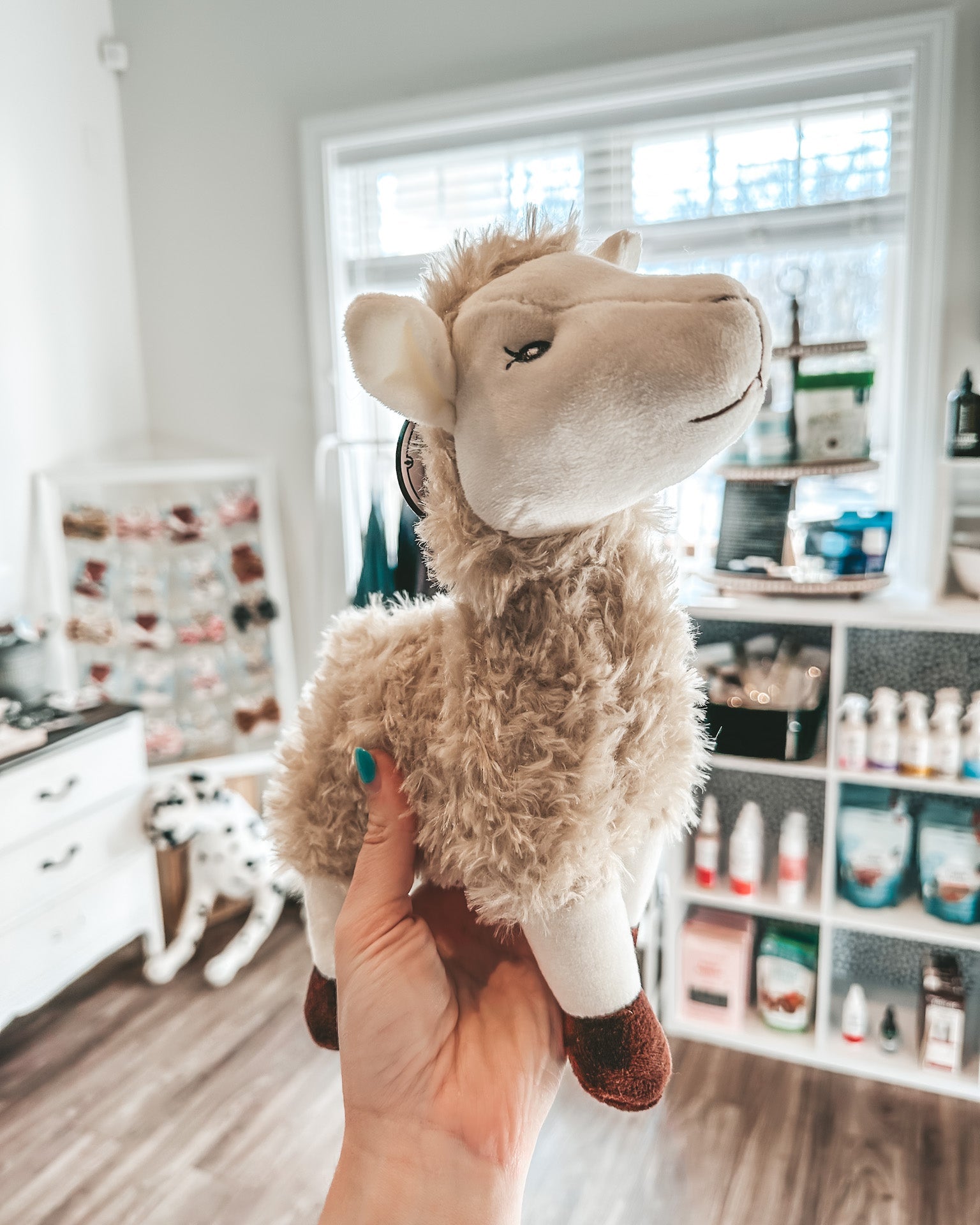 Barnyard Baller Llama - Modern Companion