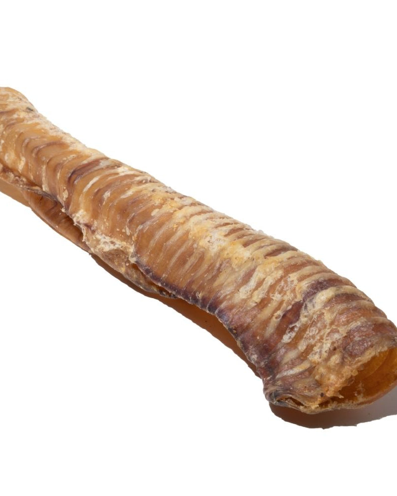 Beef Trachea Tube Chews - Modern Companion