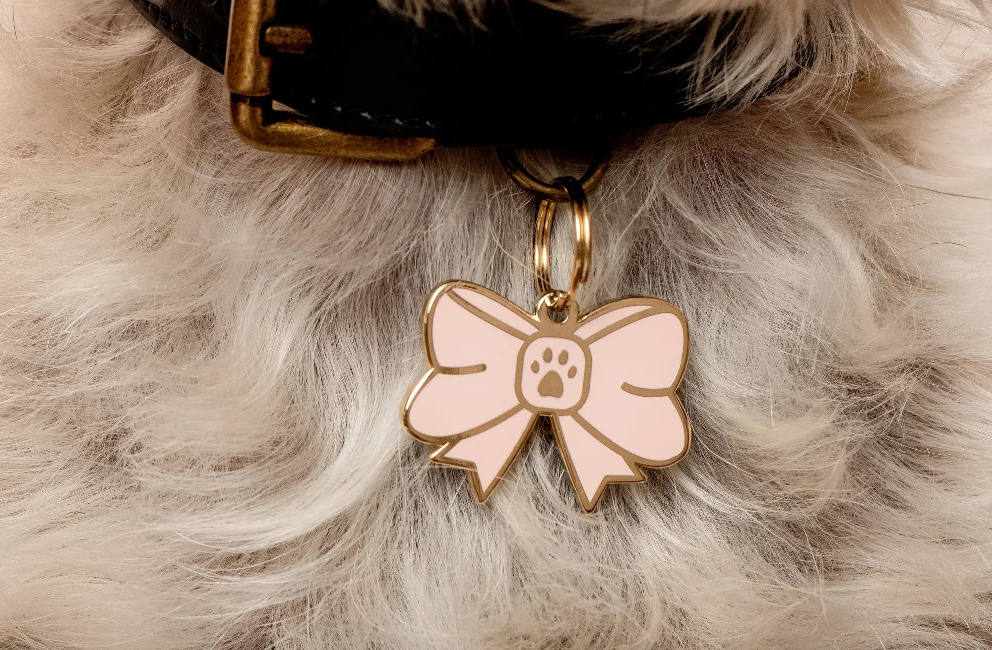 Bow Pet ID Tag - Modern Companion