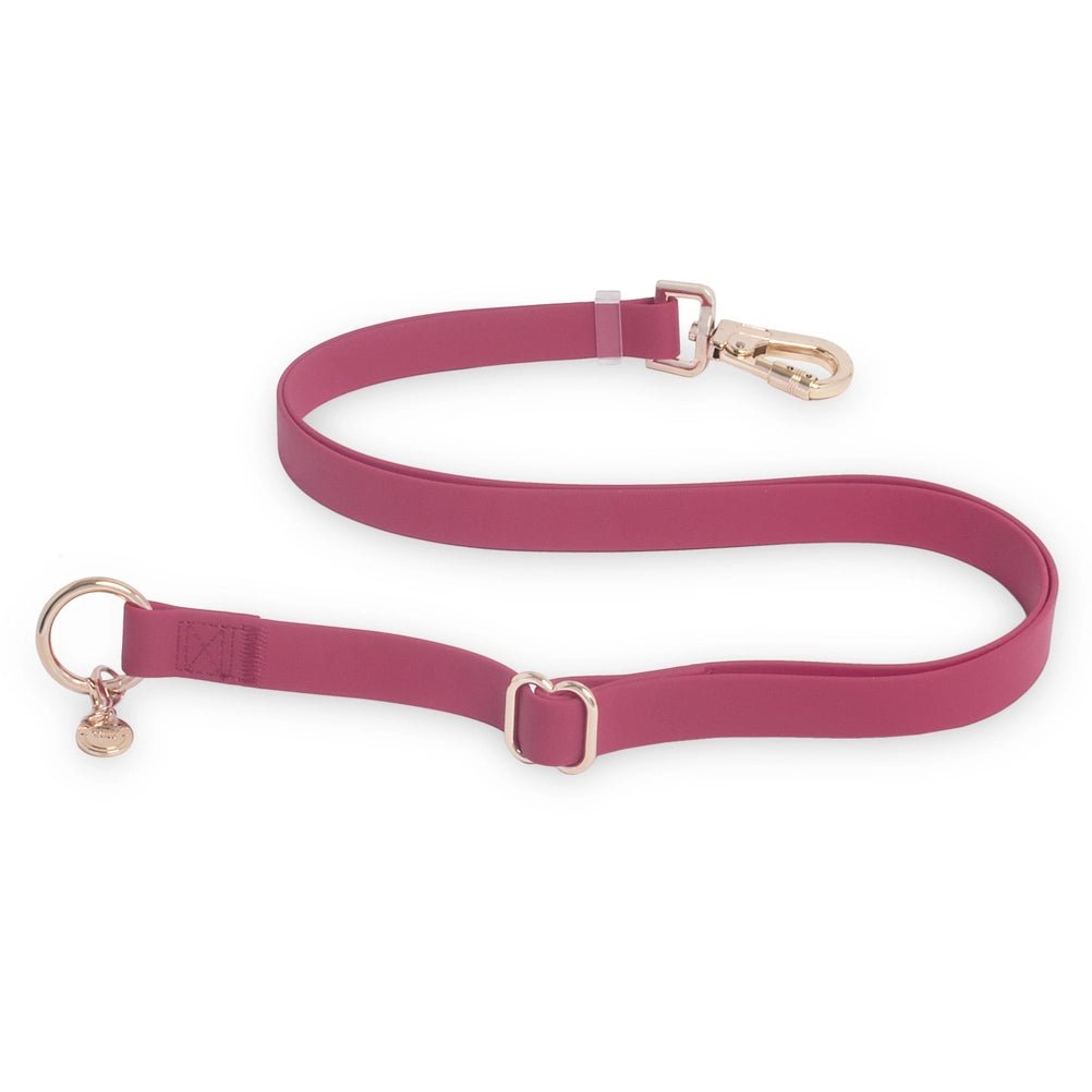 Burgundy Hands Free Leash 4-Way Extension - Modern Companion