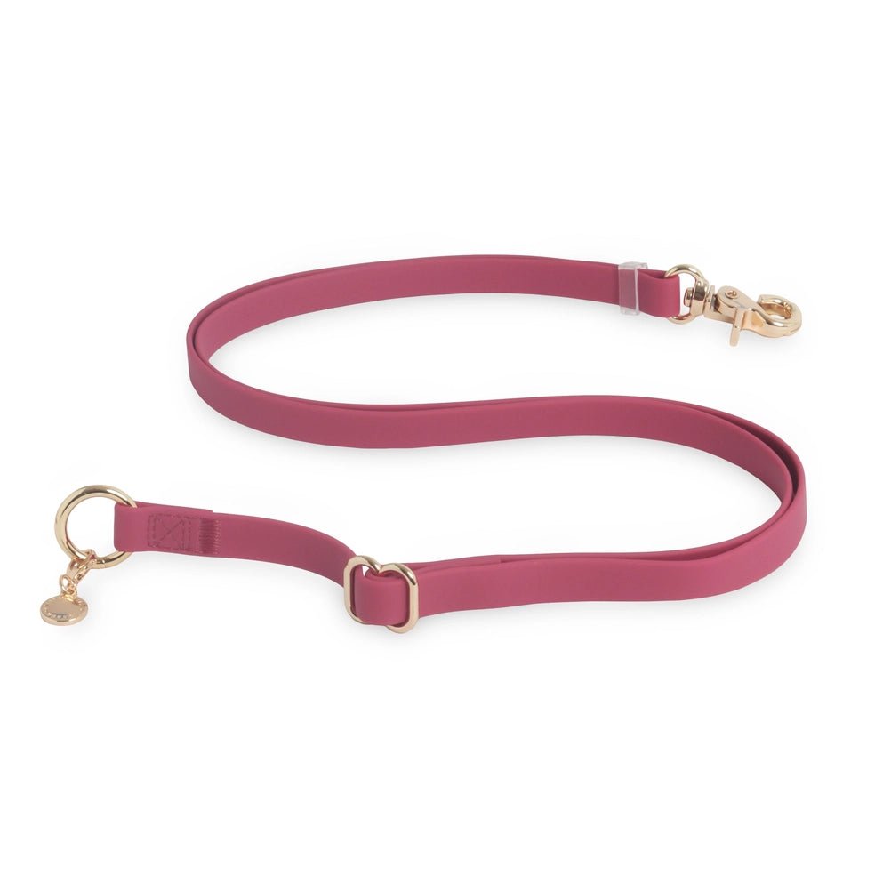 Burgundy Hands Free Leash 4-Way Extension - Modern Companion