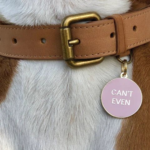 Can't Even Pet ID Tag - Modern Companion
