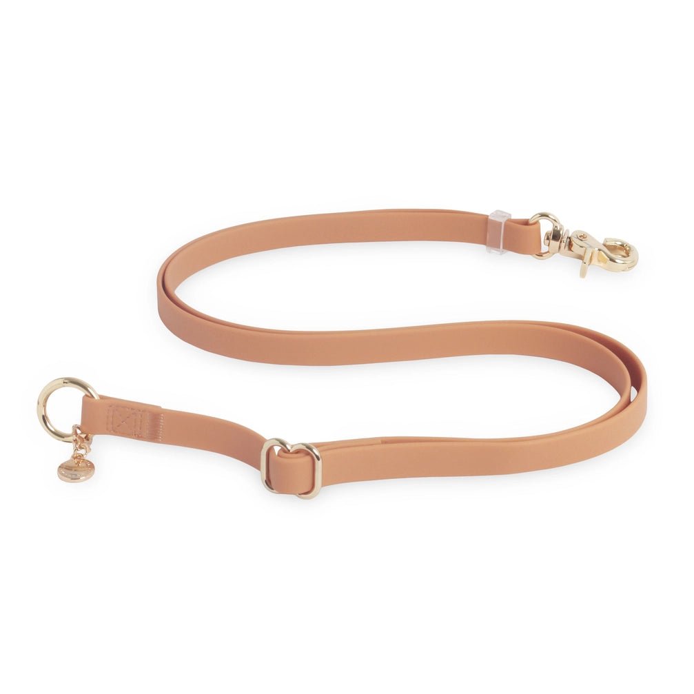 Chai Brown Hands Free Leash 4-Way Extension - Modern Companion