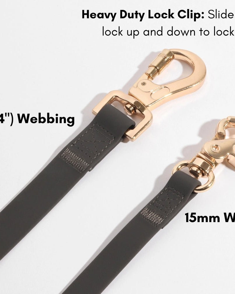 Chai Brown Hands-Free Waterproof Leash - Modern Companion