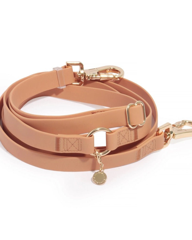 Chai Brown Hands-Free Waterproof Leash - Modern Companion