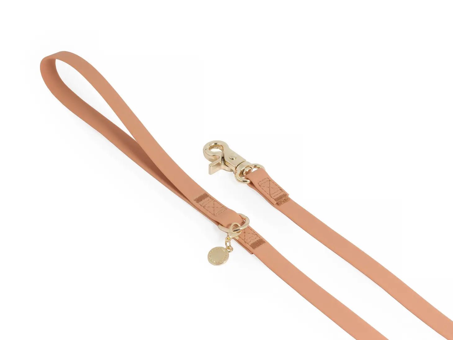 Chai Brown Waterproof Leash - Modern Companion
