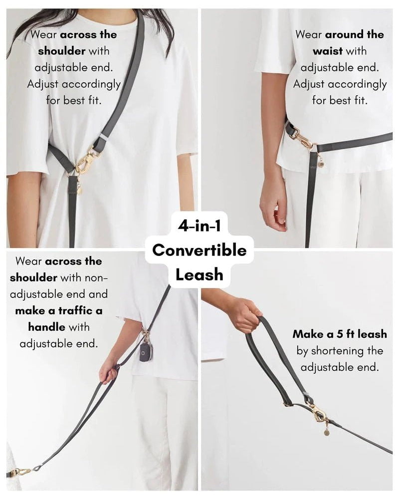 Cherry Red Hands-Free Waterproof Leash - Modern Companion