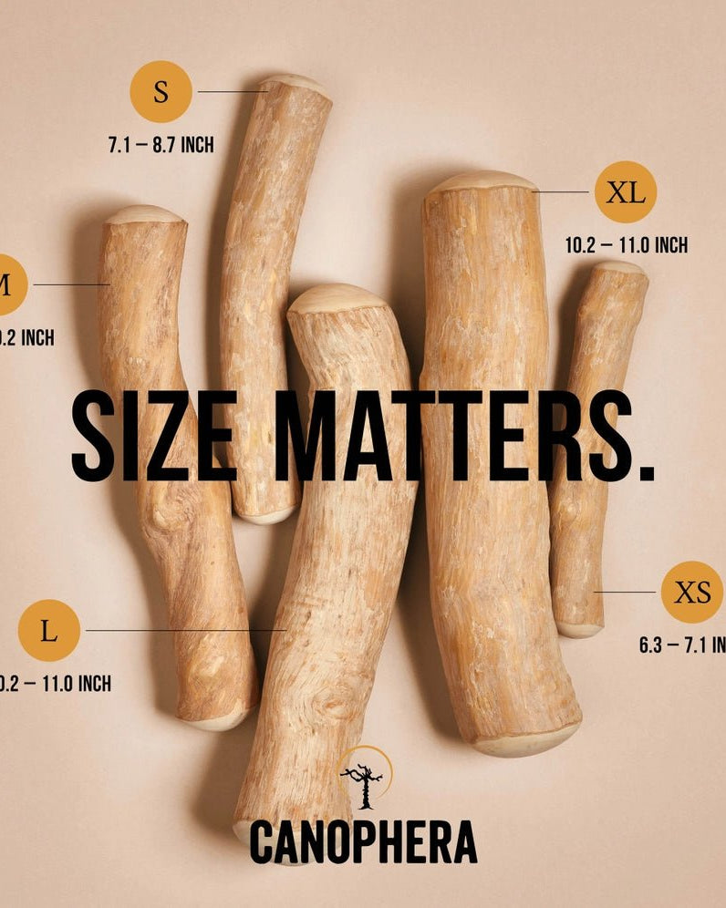 Coffee Wood Chew - Modern Companion