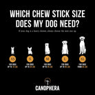 Coffee Wood Chew - Modern Companion
