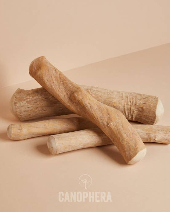 Coffee Wood Chew - Modern Companion