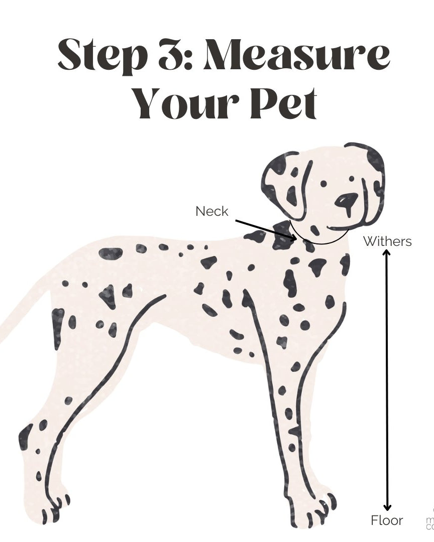 Customizable Tuxedo Pet Bandanas - Modern Companion