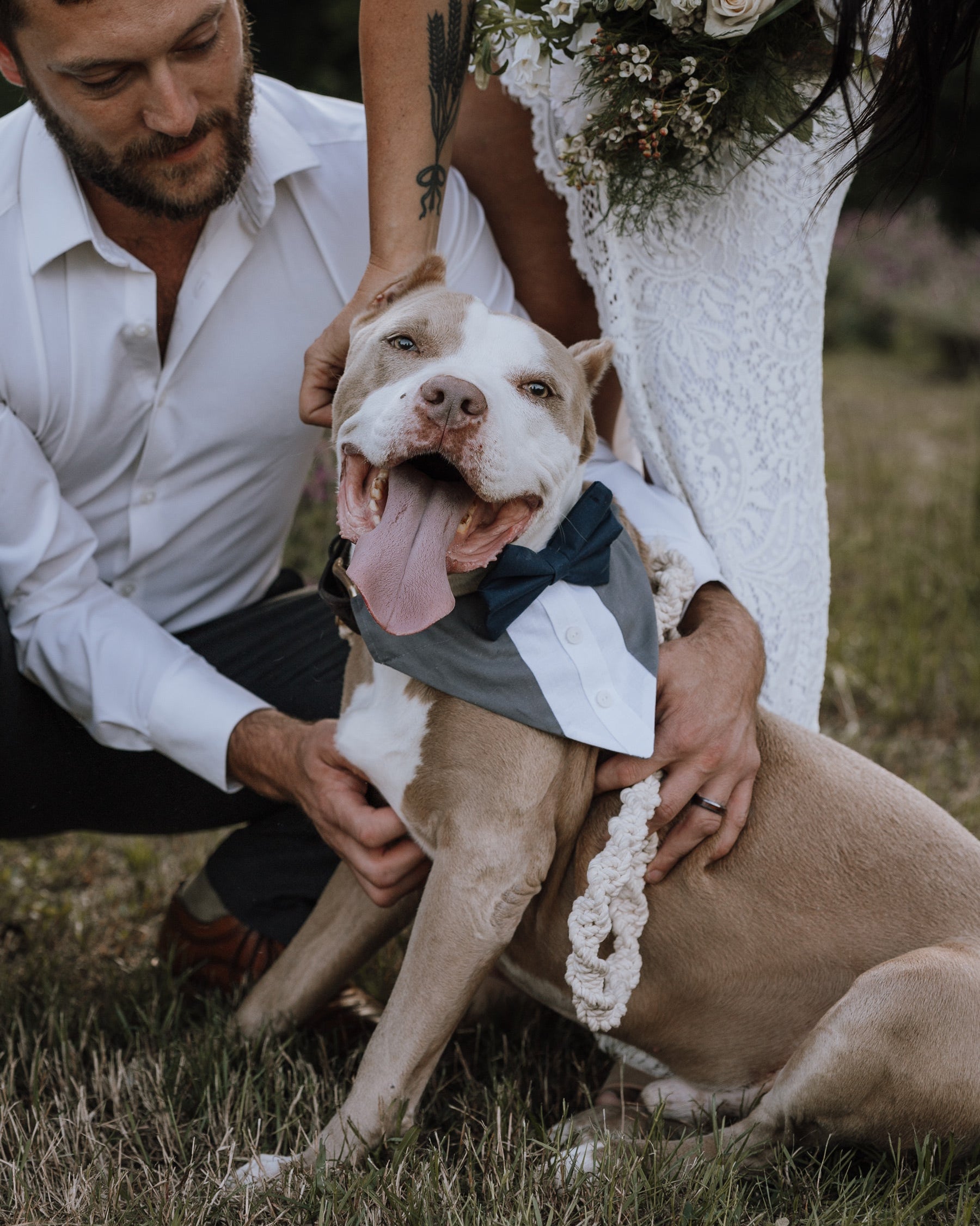 Customizable Tuxedo Pet Bandanas - Modern Companion
