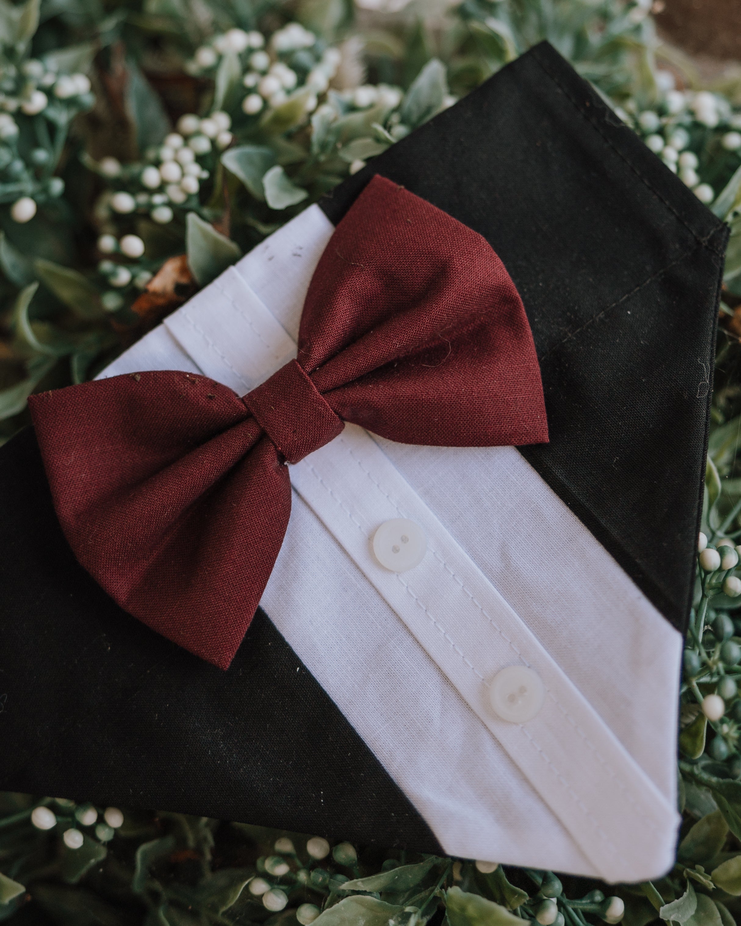 Customizable Tuxedo Pet Bandanas - Modern Companion