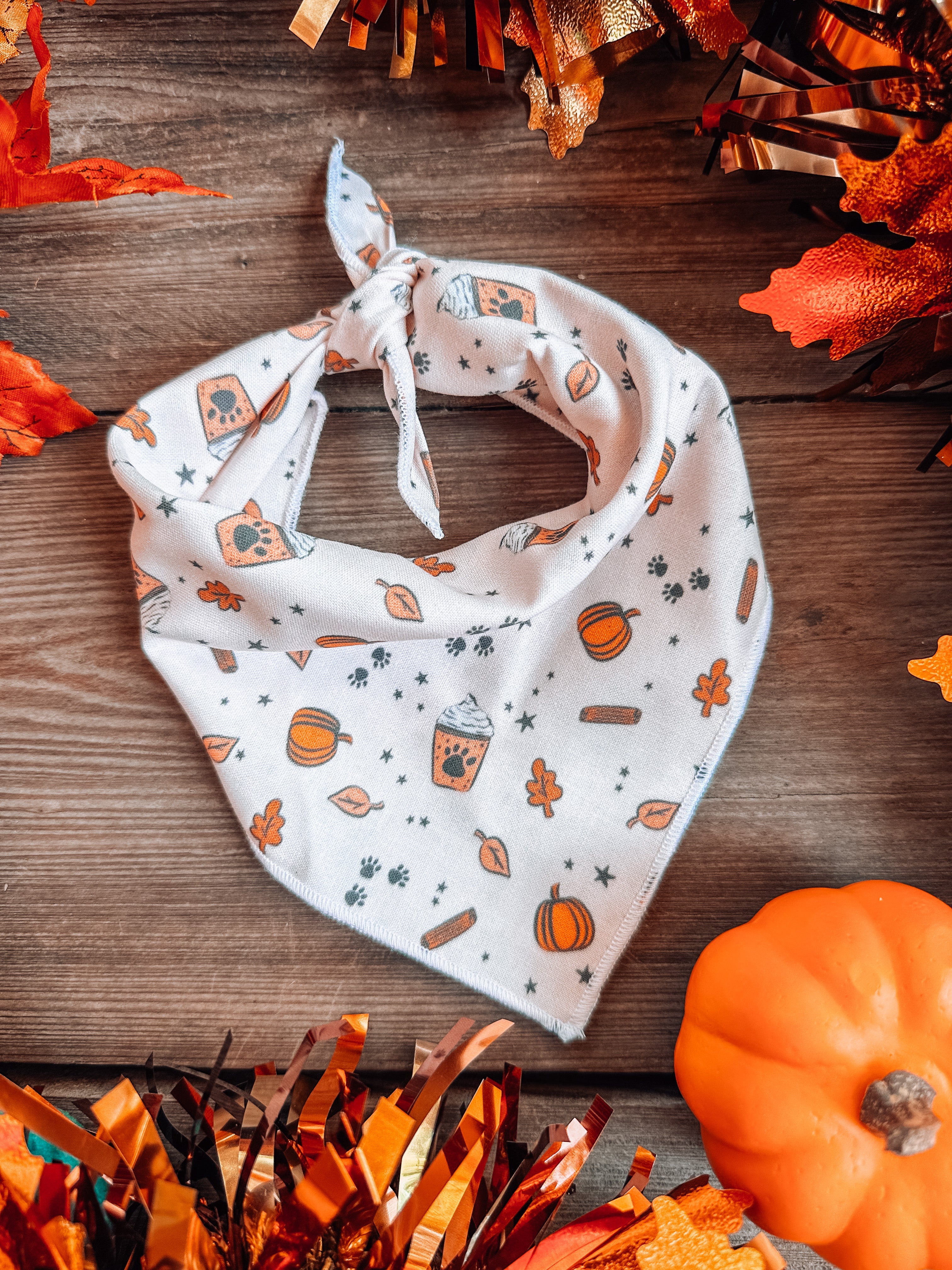 Fall Pup Cups Bandana - Modern Companion