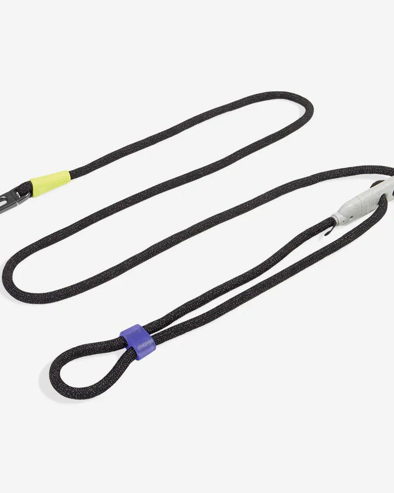 Hands-Free Leash - Modern Companion