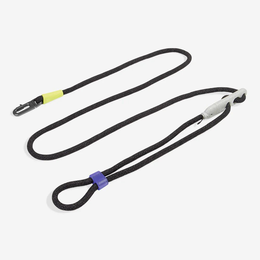 Hands-Free Leash - Modern Companion