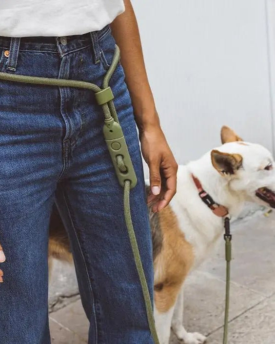 Hands-Free Leash - Modern Companion