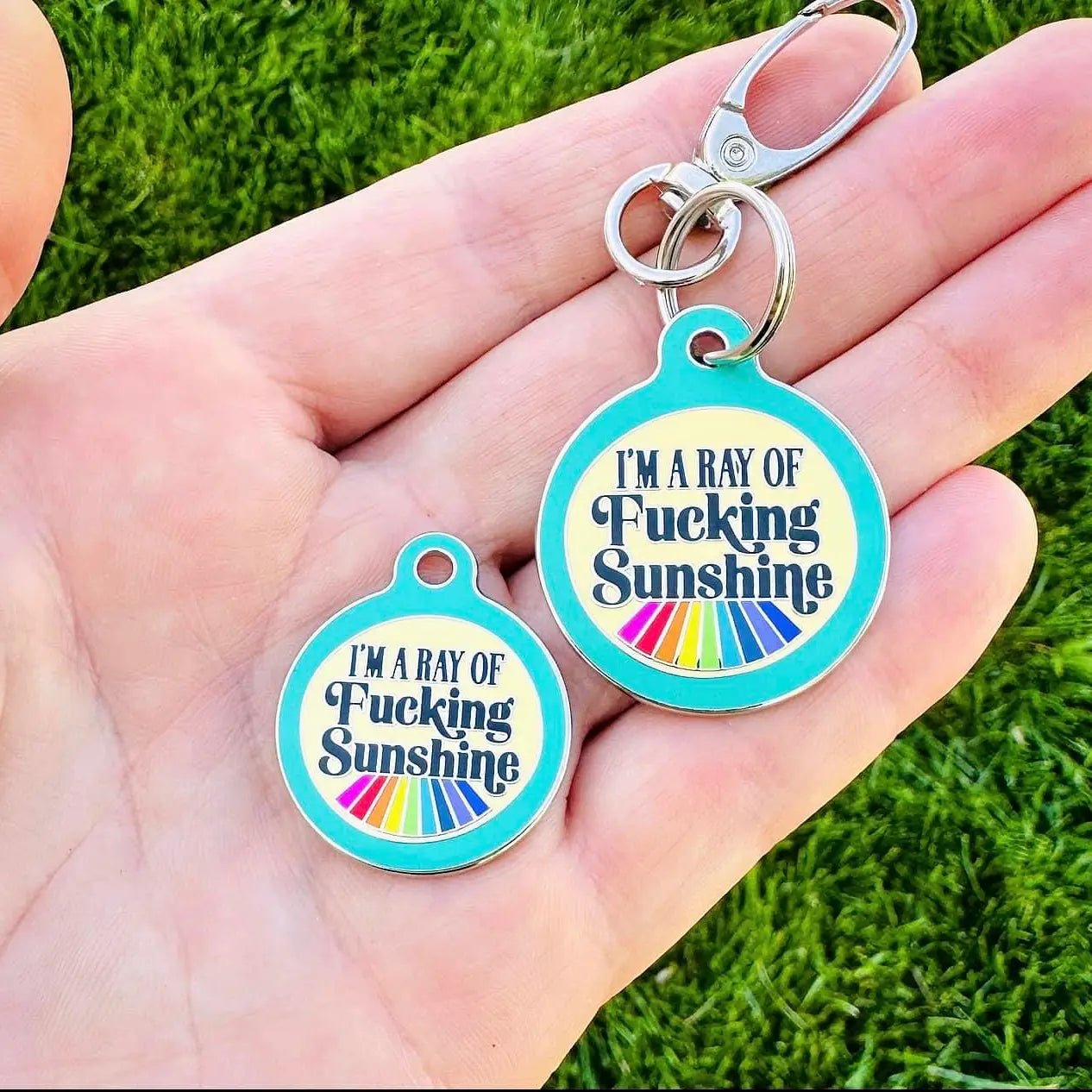 I'm A Ray of F*cking Sunshine Pet ID Tag - Modern Companion