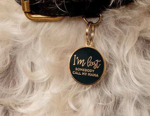 I'm Lost, Somebody Call My Mama - Black Pet ID Tag - Modern Companion