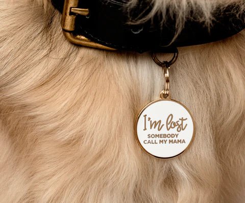 I'm Lost, Somebody Call My Mama - White Pet ID Tag - Modern Companion