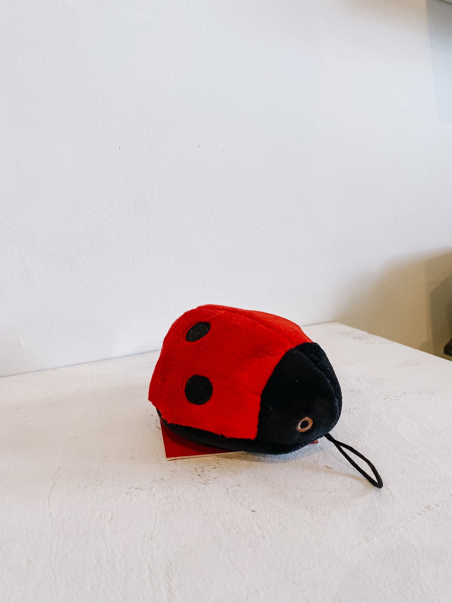 Lady Bug - Modern Companion
