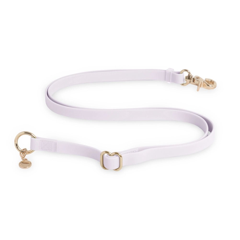 Lavender Hands Free Leash 4-Way Extension - Modern Companion