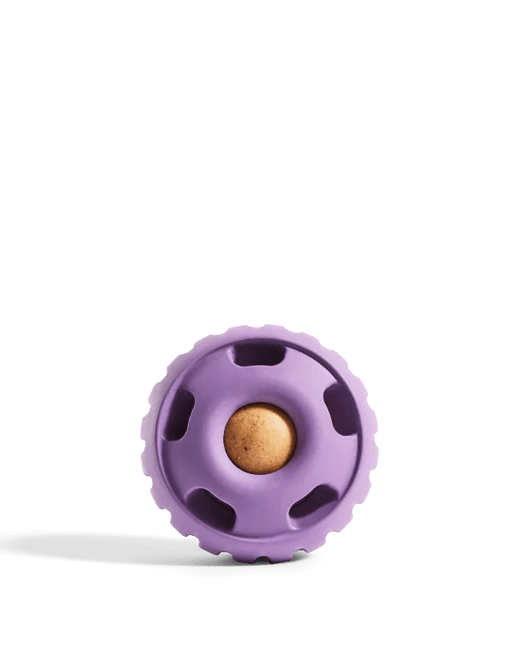 Limited Edition Lavender Pupsicle - Modern Companion